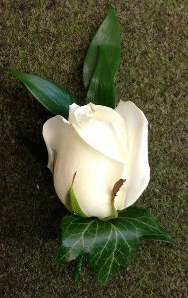 White Plain Rose Buttonhole