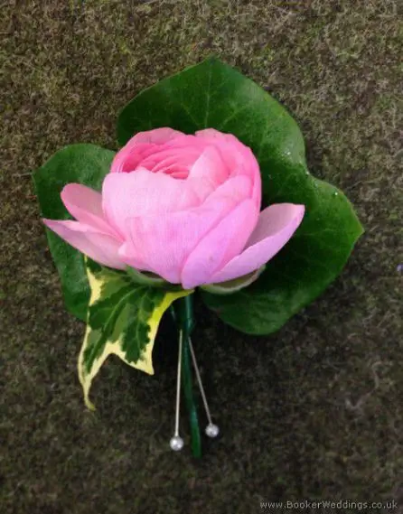 Pink Ranunculus Buttonhole