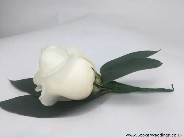 White Rose Buttonhole for Wedding Party