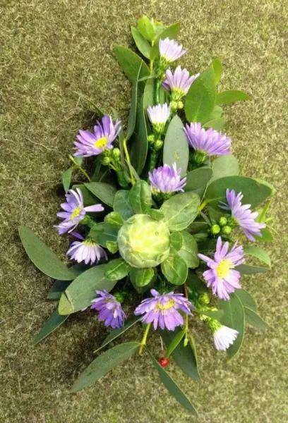 Carthums and Aster Corsage - Jungle Wedding - Zoo