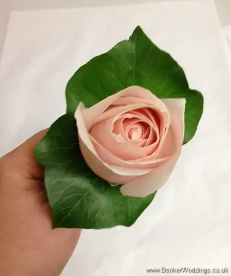 Soft pink rose buttonhole