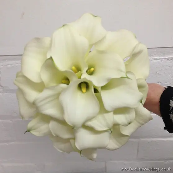 All White Bridal Bouquet of Calla Lillies with Navy Ribbon