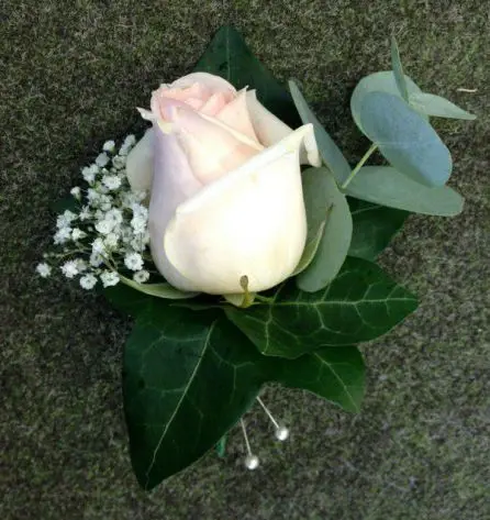 Pale Pink Rose and Gypsophilia Grooms Buttohole