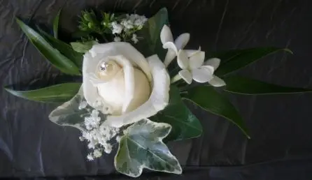 Rose Bouvardia and Gypsophila Buttonhole