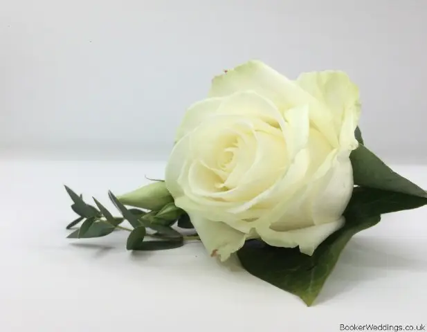 Classic White Rose and Euc Buttonhole