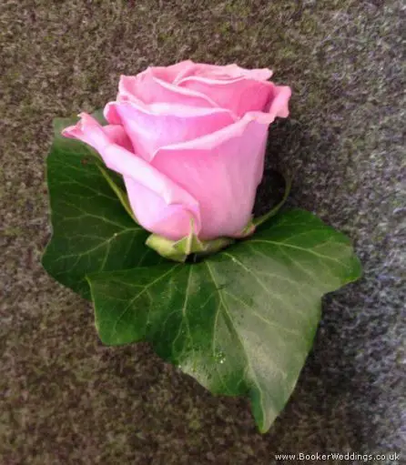 Dusky Pink Rose Buttonhole
