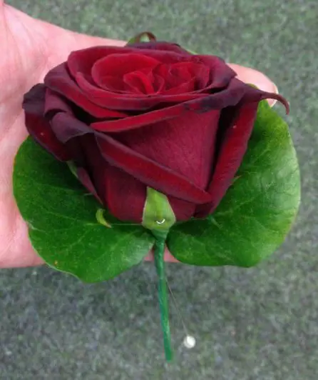 Red Rose Buttonhole