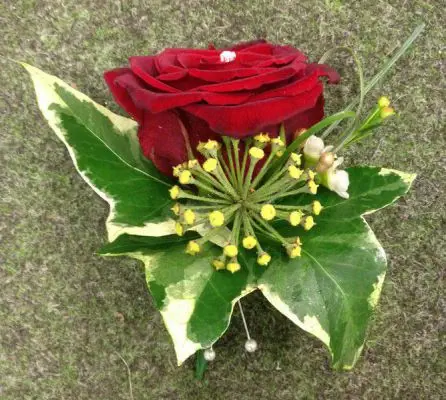 Red Rose Grooms Buttonhole