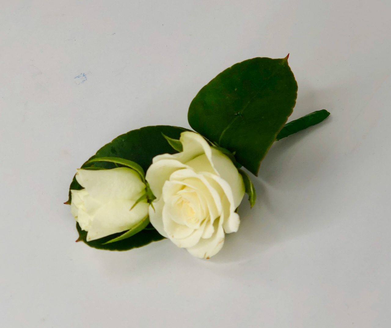 Simple Spray Rose Mini Boutonierre for Page Boy