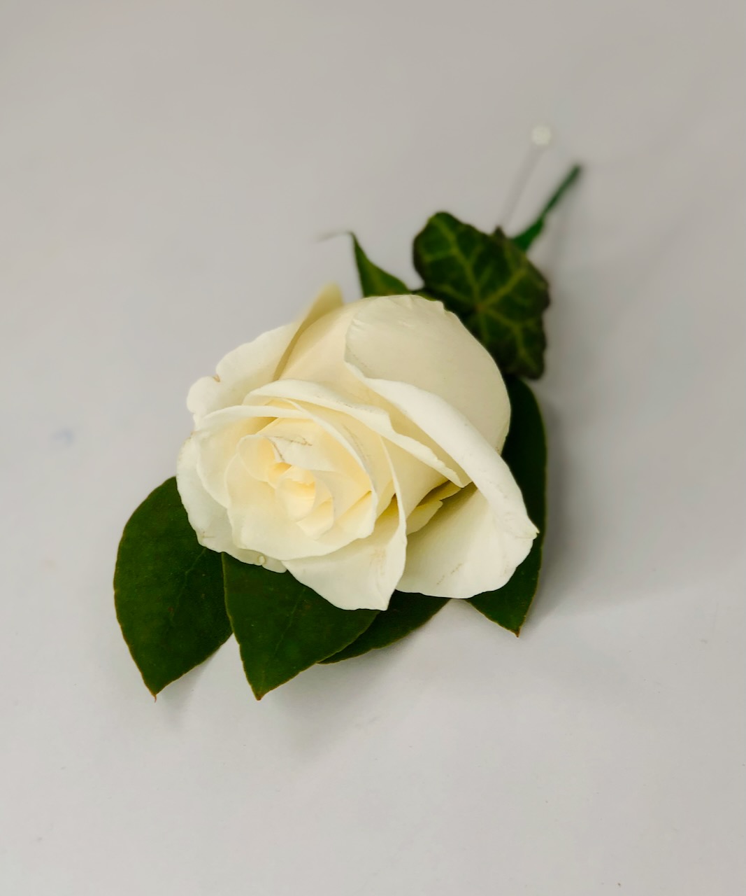 Simple White Rose and Ivy Buttonhole