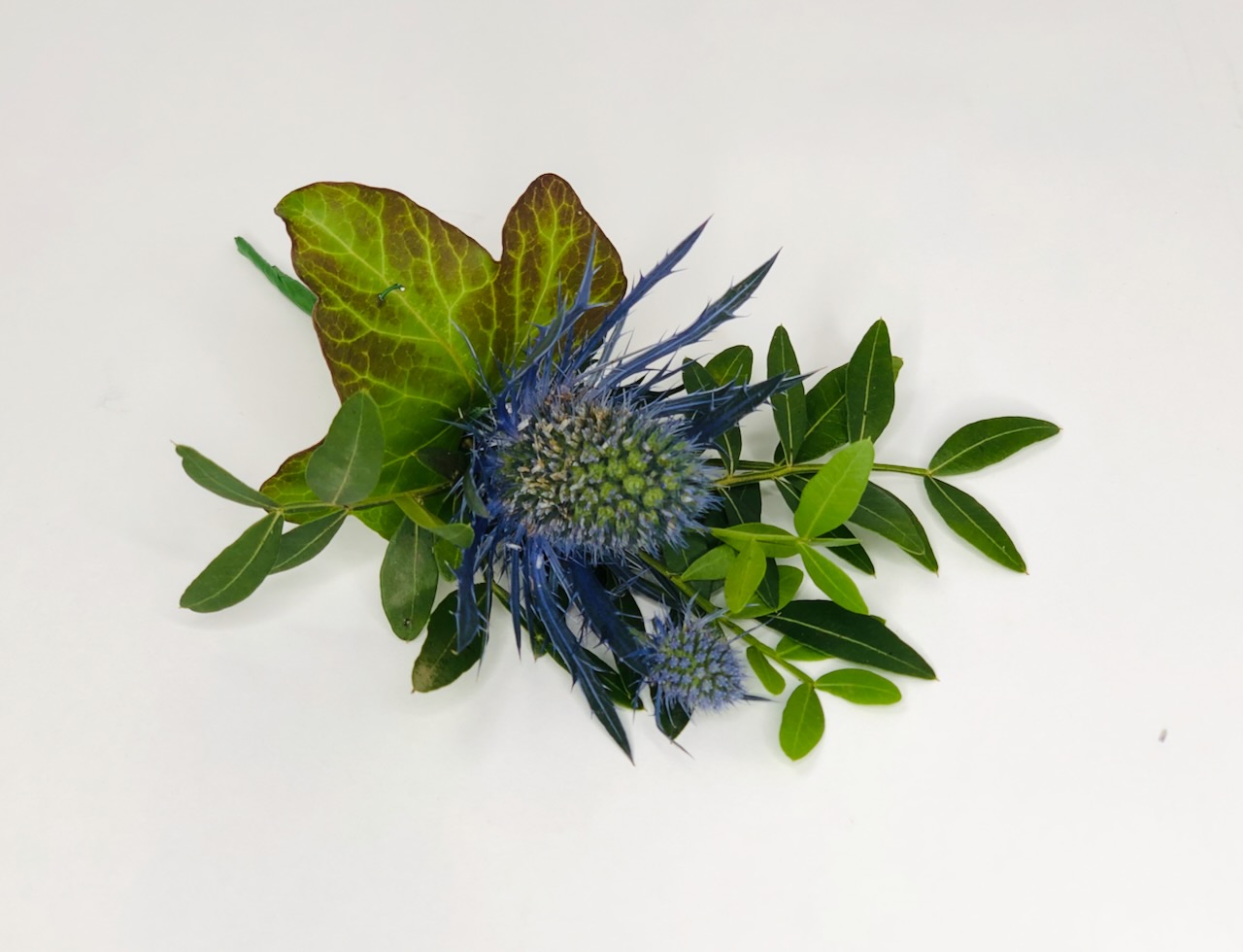 Thistle and Ivy Boutonierre
