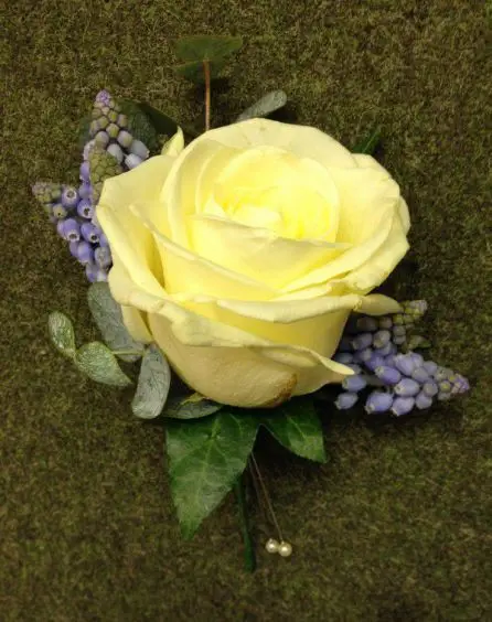 Cream Rose and Muscari Grooms Buttonhole