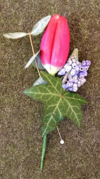 Red Tulip and Muscari Buttohole