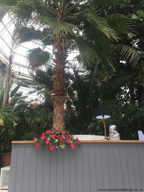 Hot Pink Top Table Arrangement Palm House Liverpool