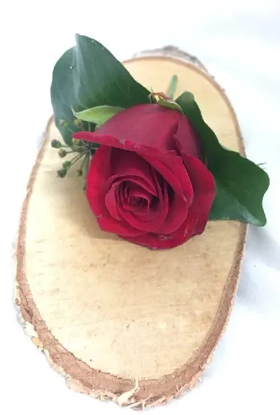 Red rose buttonhole for wedding guests
