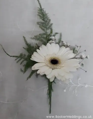 Groom White Gerbera Gypsy Grass and Fern Buttonhole