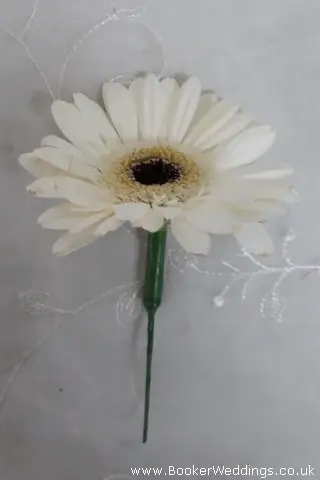 White Gerbera Buttonhole for Wedding Guests