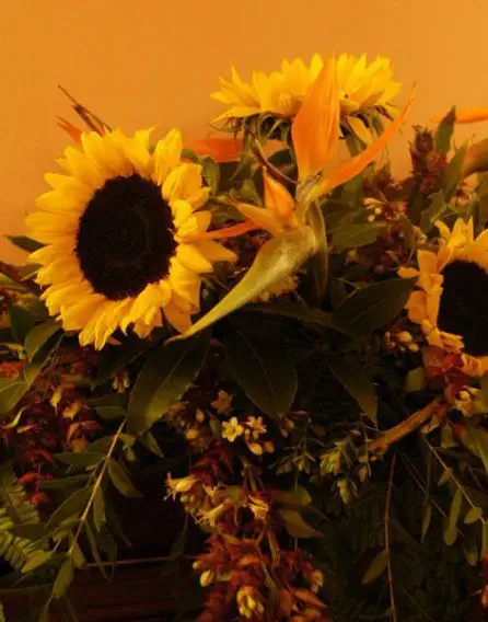 Sunflower and Pheasant Berry Arrangement