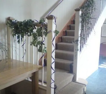 Ivy on Stairs