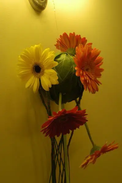 Gerbera Wall Decoration
