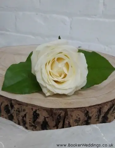 Buttonhole of Single White Rose