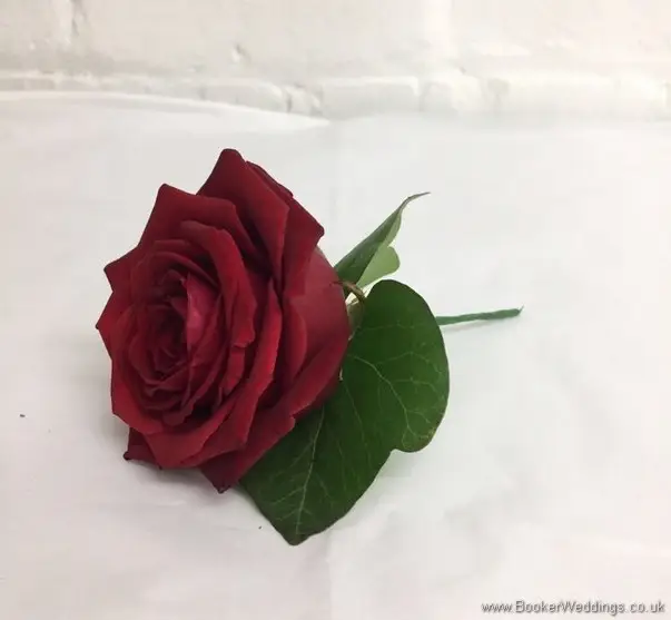 Red rose buttonhole