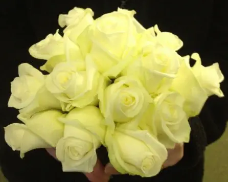 Bridesmaid Bouquet of Akito Roses