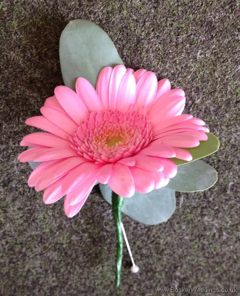 Pink Gerbera Buttonhole