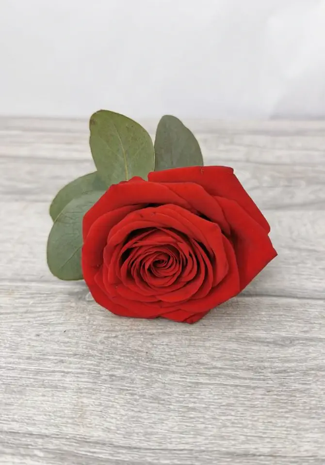 Red Rose Groom Buttonhole