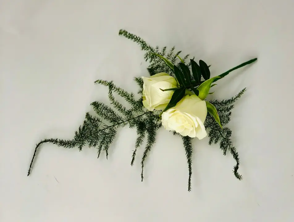 Mini Rose Boutonniere with Asparagus Fern
