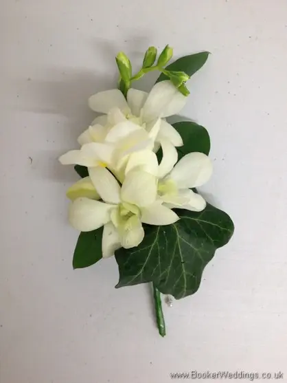 Ivory Dendrobium Orchid Pin Corsage