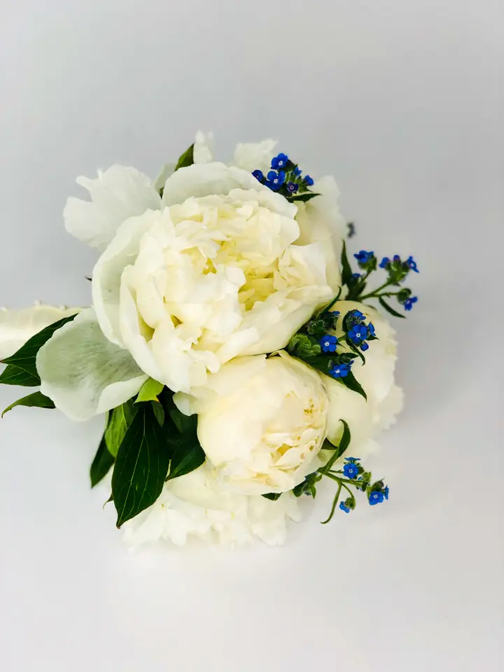 White Peony and Forget-me-not Bride Bouquet