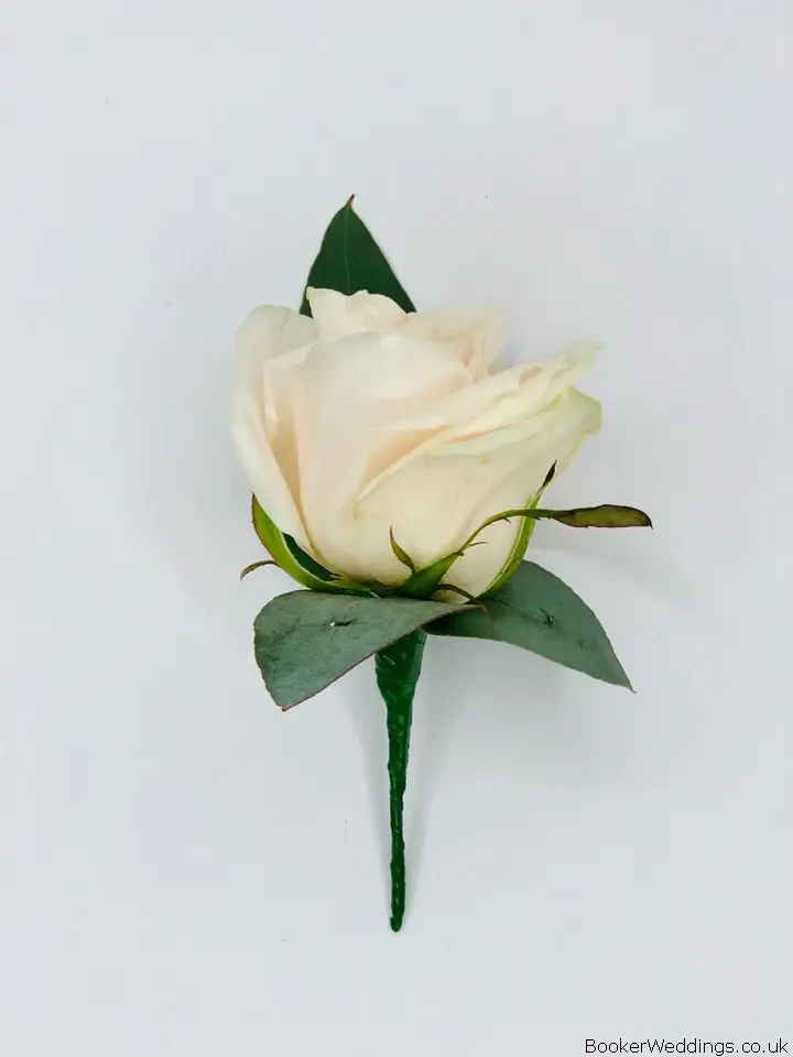 Blush Pink Rose Buttonhole