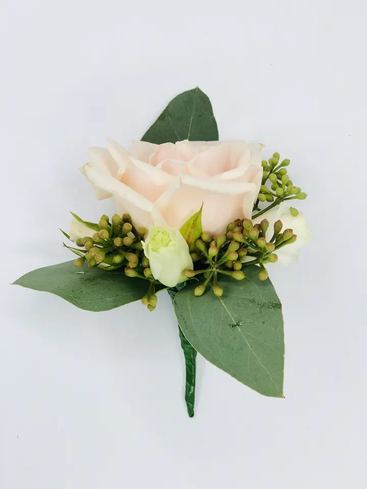 Blush Rose and Eucalyptus Groom Buttonhole