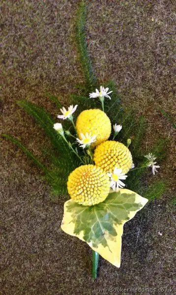 Crasspida and September Ladies Buttonhole