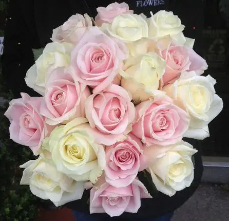 Cream and Pink Rose Brides Bouquet