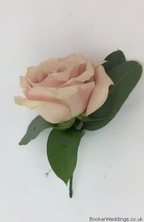 Dusky Pink Rose Buttonhole