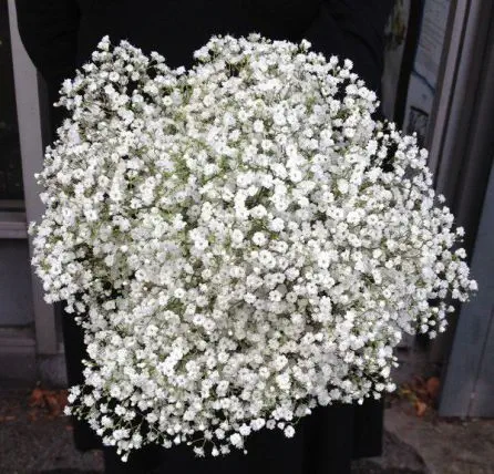 Just Gypsophilia Bridesmaid Bouquet