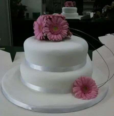 Pink Germini Gerbera cake decoration