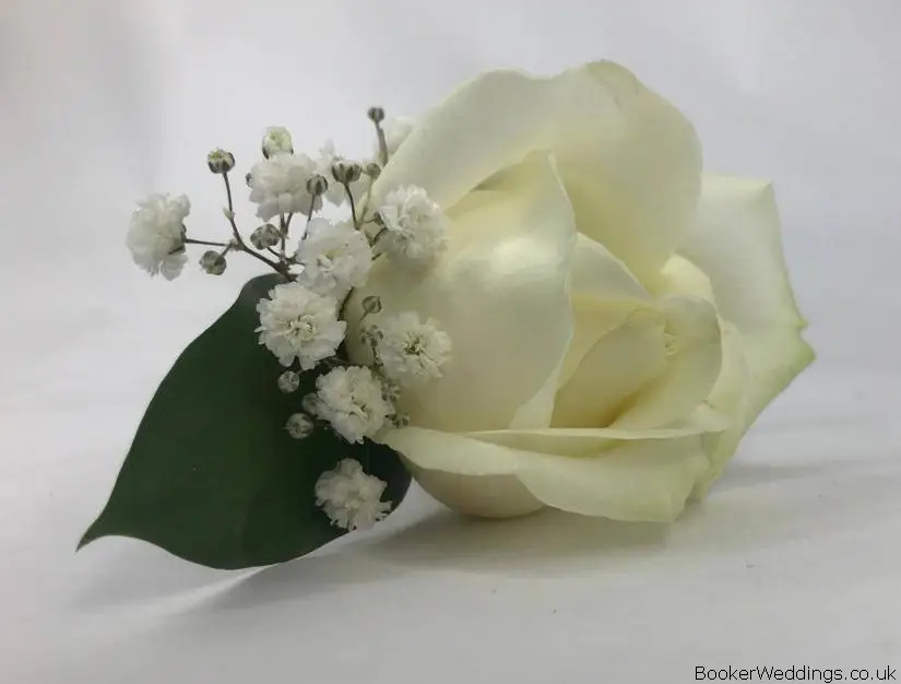 Rose and Gyp Buttonhole
