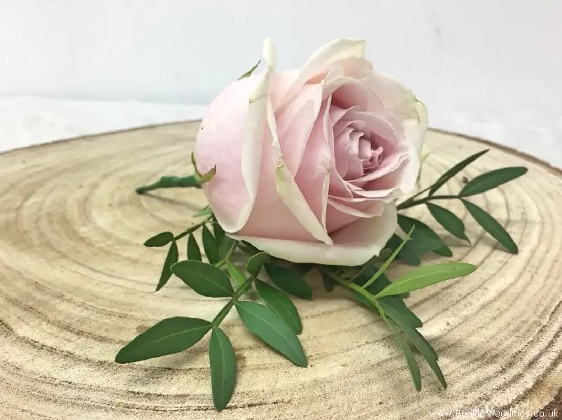 Pink Rose Wedding Buttonhole For Bridal Party