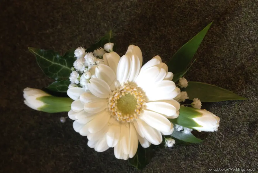 All White Gerbera Buttonhole