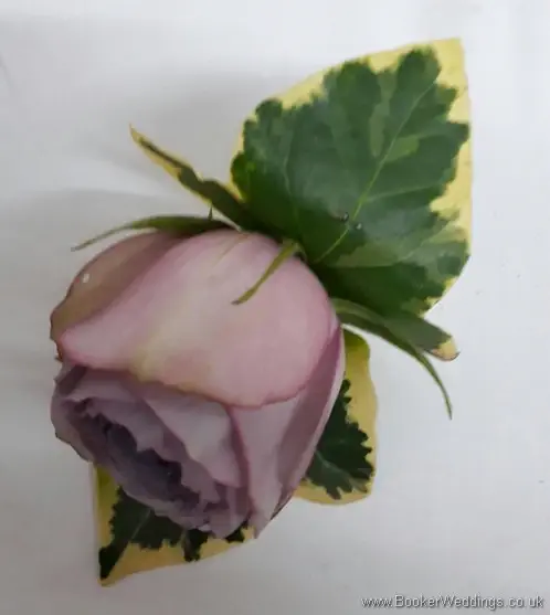 Lilac rose buttonhole