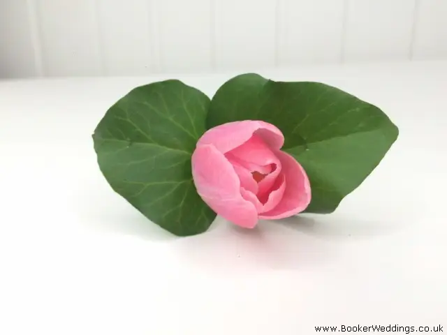 Pink Tulip Buttonhole
