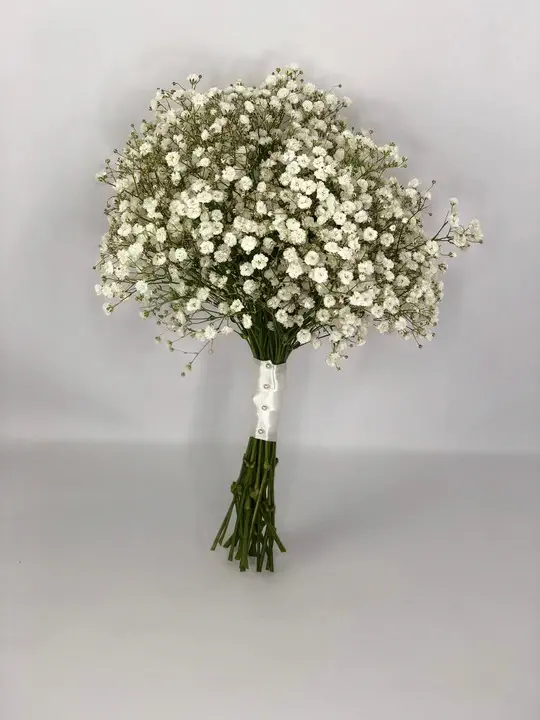 Simple Bridesmaid Bouquet of Gypsophila