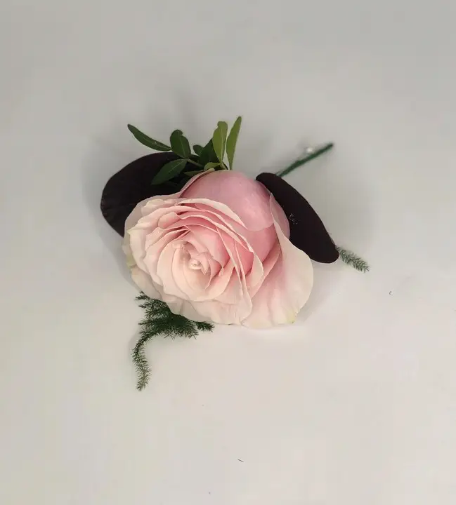 Pink Rose Buttonhole with Burgundy Foliage