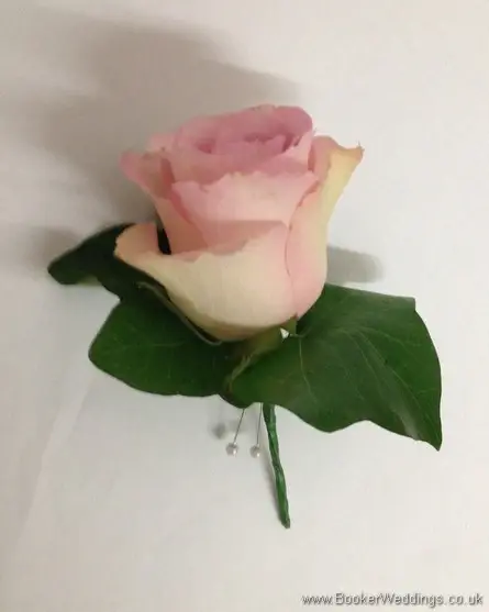 Dusky Pink Buttonhole