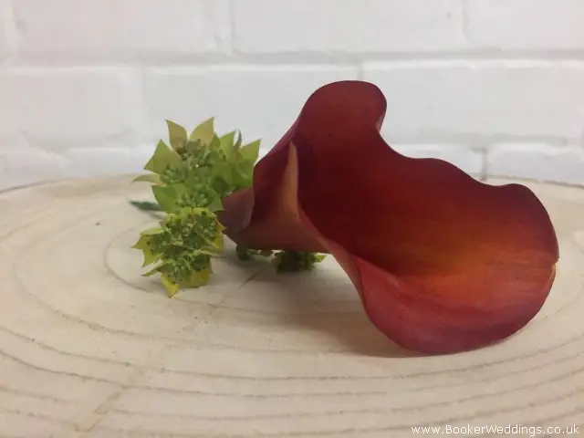 Buttonhole Mango Calla Lilly and Burperlum