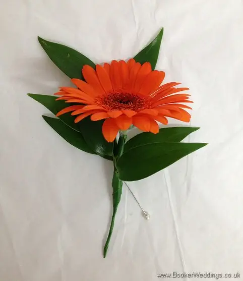 Orange gerbera buttonholes