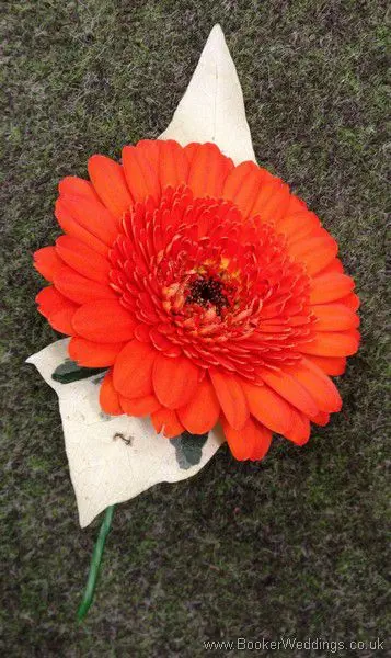 Vibrant Gerbera Buttonhole